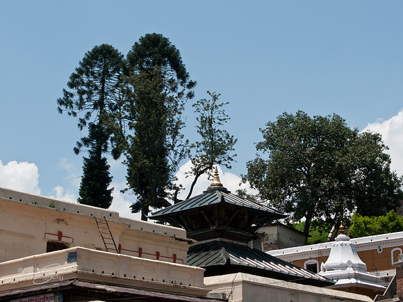 Pashupatinath Temple