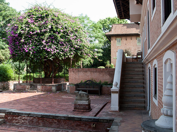 Courtyard @ Pātan Museum