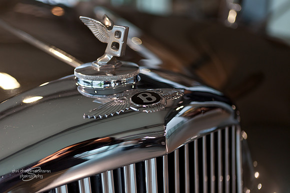 Bentley 1954