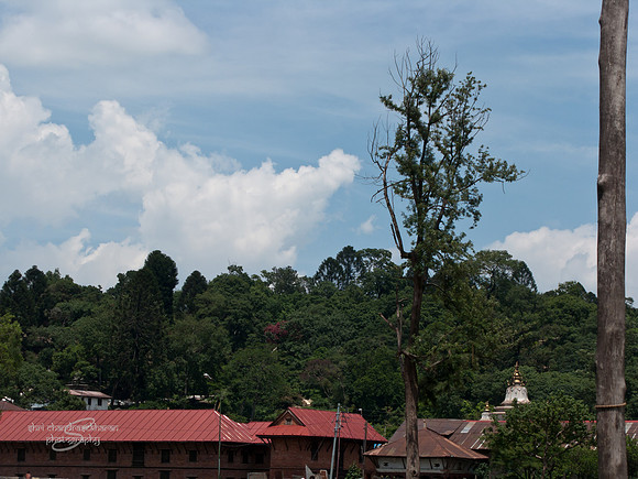 Pashupatinath Temple