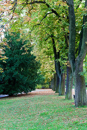 Kurpark