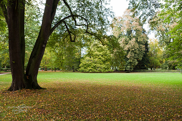 Kurpark