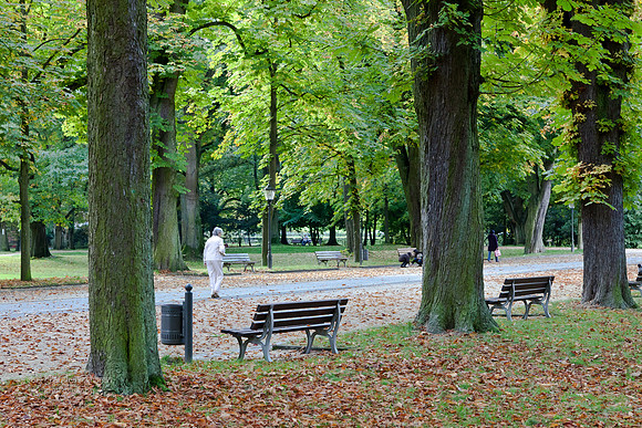 Kurpark