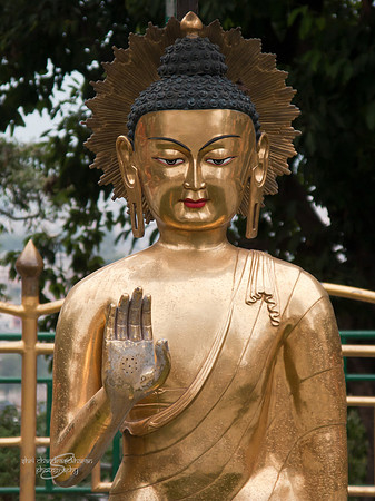 Gautham Buddha Idol @ Swayumbhunath Stupa