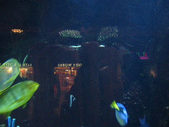 Ceaser's Palace