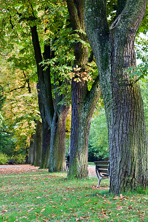 Kurpark