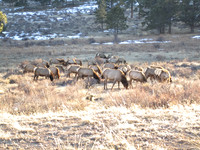 2012-03 Rocky Mountain National Park, Estes Park, Colorado, USA