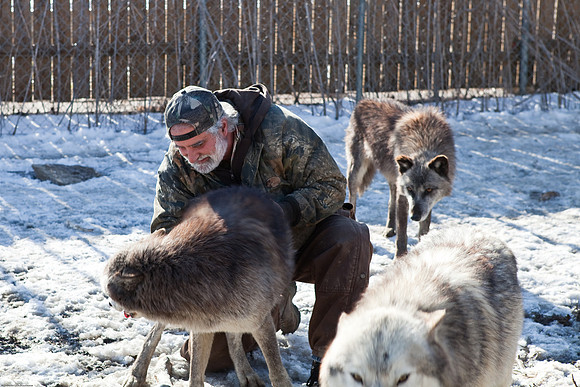 Jim of Jim & Debs Chagares Photography with the Wolves