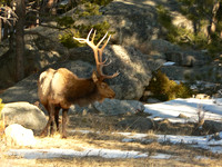 2012-03 Rocky Mountain National Park, Estes Park, Colorado, USA