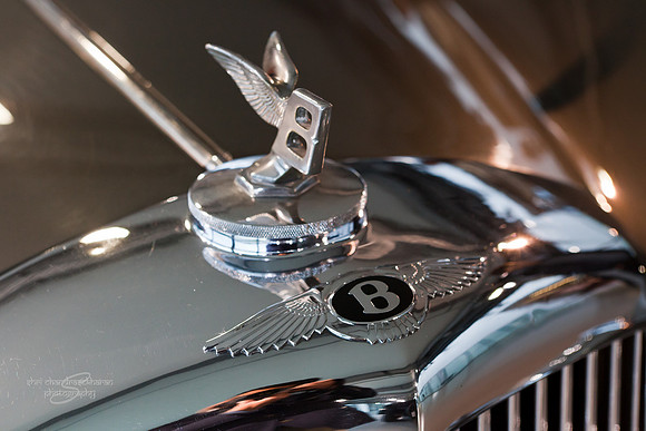 Bentley 1954