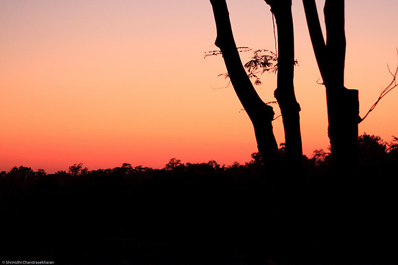 Sunrise @ Wild Chalet Resort