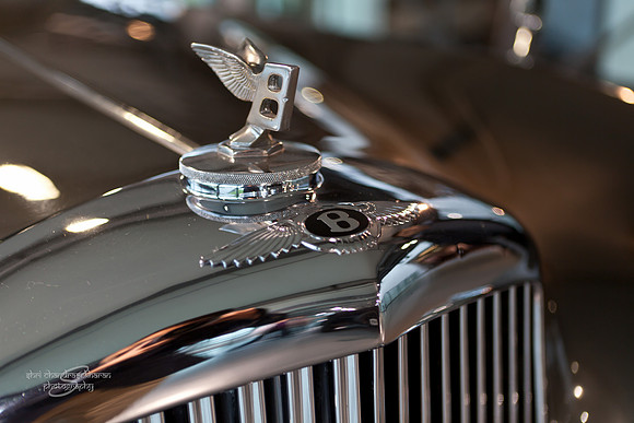 Bentley 1954