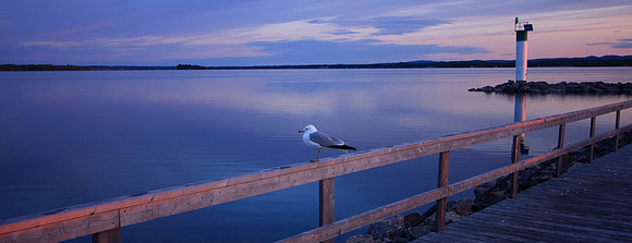 Sunrinse @ Algonquin provincial park - Canada (Shri Chandrasekharan) 12x4 @ 300dpi